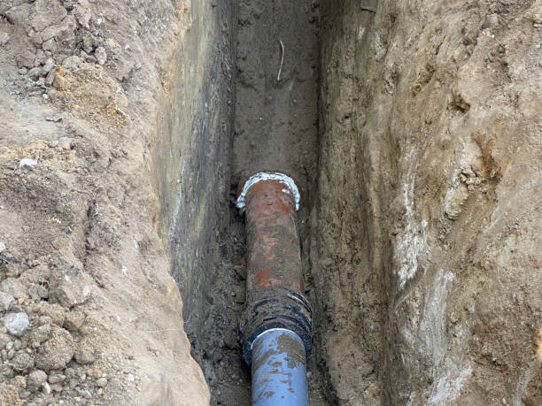 Best Flood damage cleanup  in Groveville, NJ