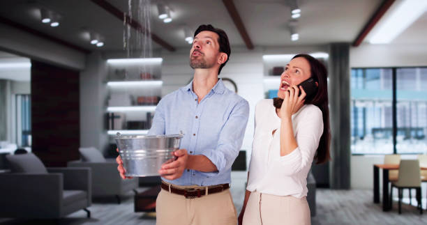Best Water damage restoration near me  in Groveville, NJ